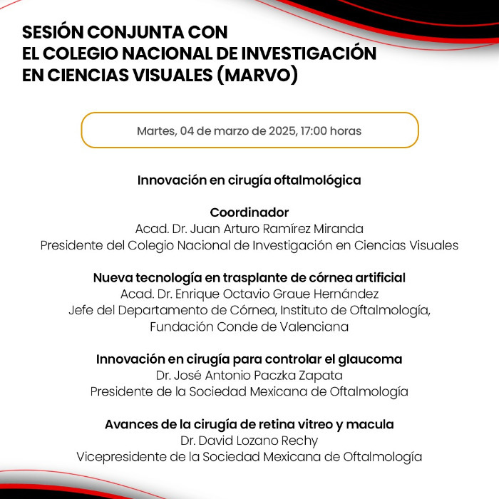 Sesión Conjunta con el Colegio Nacional de Investigación en Ciencias Visuales