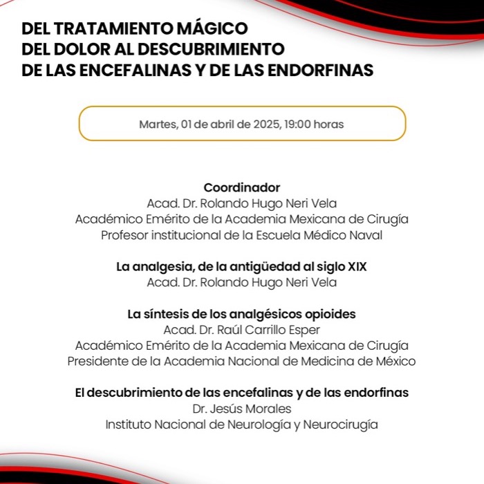 DEL TRATAMIENTO MÁGICO DEL DOLOR AL DESCUBRIMIENTO DE LAS ENCEFALINAS Y DE LAS ENDORFINAS