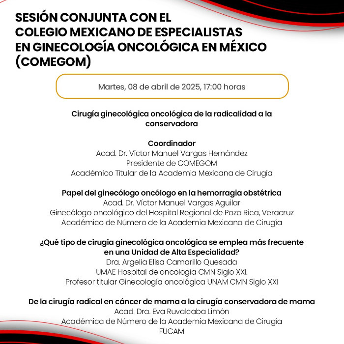 Sesión conjunta con el COMEGOM