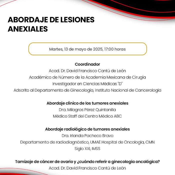 Abordajes de Lesiones Anexiales